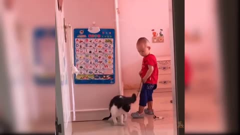 Cat helping kid in funny way will make you laugh