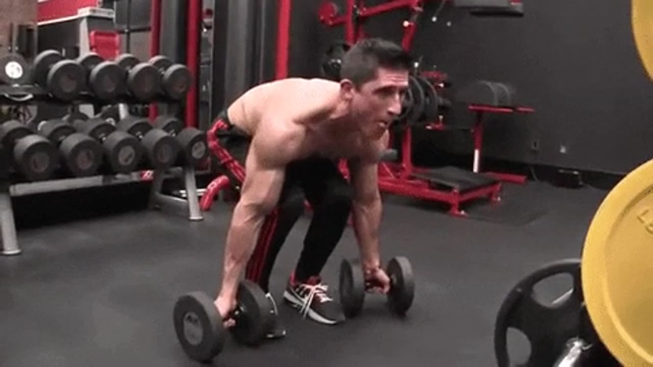 [The BEST Dumbbell Exercises for BICEPS]dumbbell_underhand_dead_row