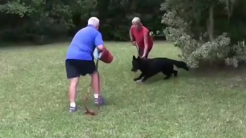 SEE HOW BECOME YOUR DOG AGGRESIVE