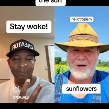 Ever since the Fake Eclipse, what is Wrong with The Sun