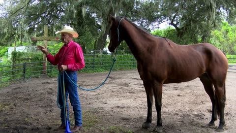 Cowboy Up October 6 at Turkey Creek Stables