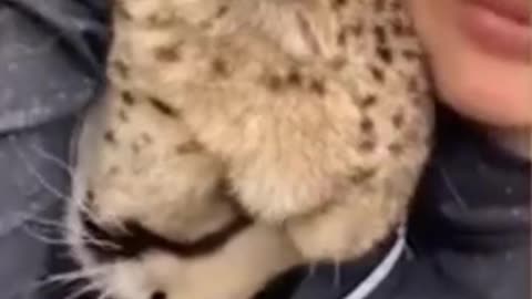 Special moments with animals 14 #shorts #pets