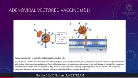 Dr. Robert Malone at the 11/6 Florida COVID Summit on the J&J Vaccine