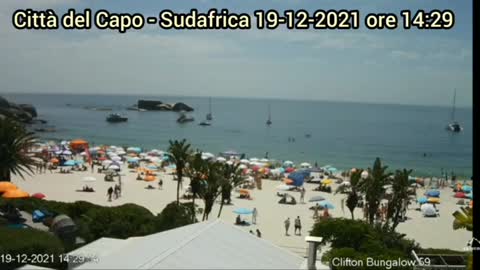 Omicron, la nuova variante ammazza tutti originaria del Sudafrica.