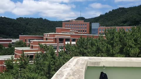 univ in Busan