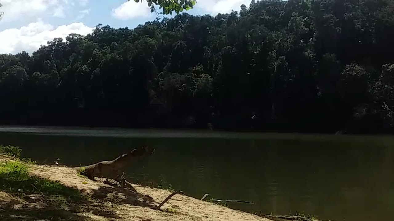 12.7.2024 The Barron River, Kuranda