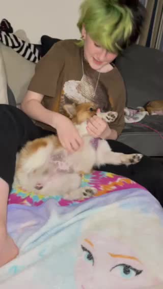 Baby girl puppy dogs Belly scratch