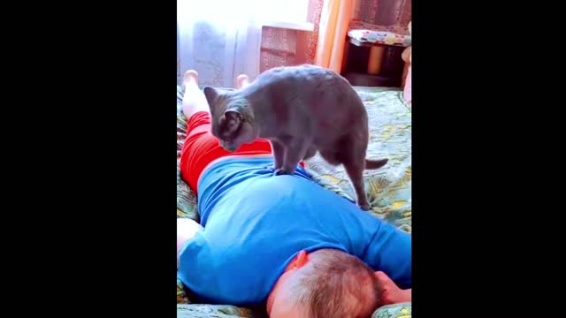 Funniest Cats and Dogs 🐱🐶 Part 6