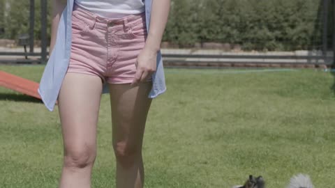 A Veterinarian Checking the Dog's Condition