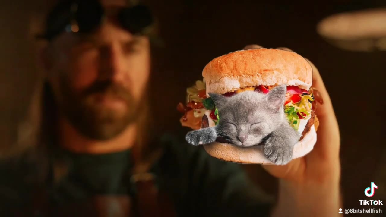 Fried Kitten Sandwich