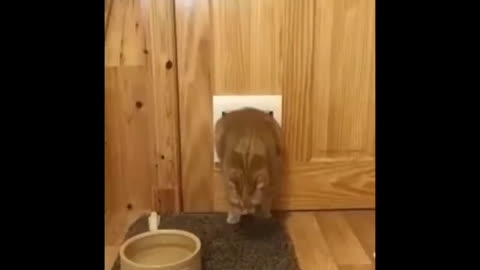 He is blocked in the door!