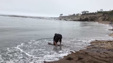 Man reeling in a 7 Gill Shark