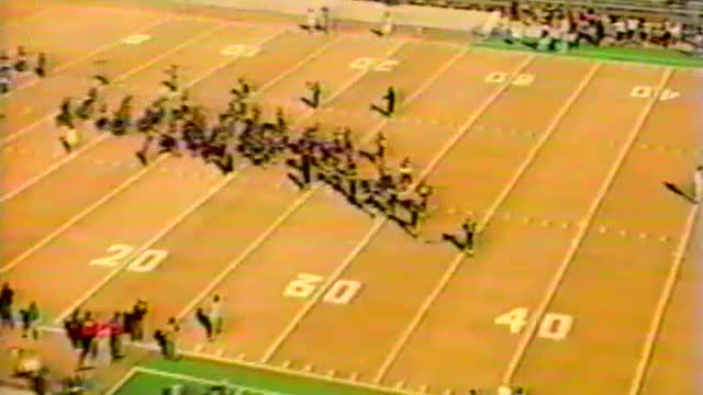 1993 The Perfect Season