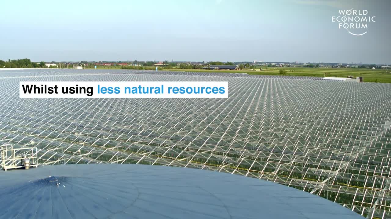 Farmers in the Netherlands are growing more food using less resources _ Pioneers for Our Planet