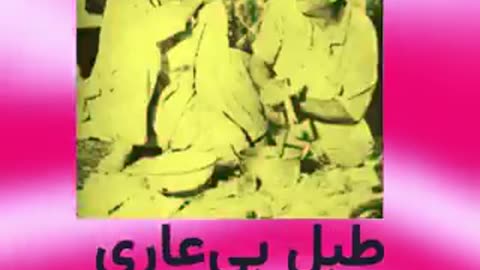 سویه مدیا