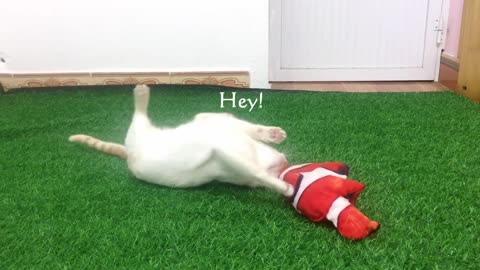 My Cats Vs Fish toy