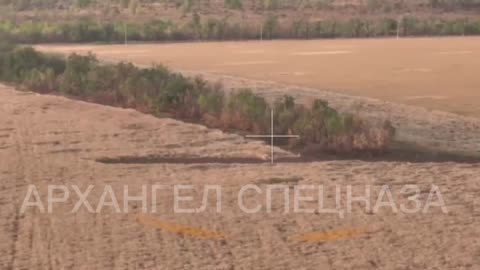 Another group of Ukrainian kamikazes is advancing to counterattack