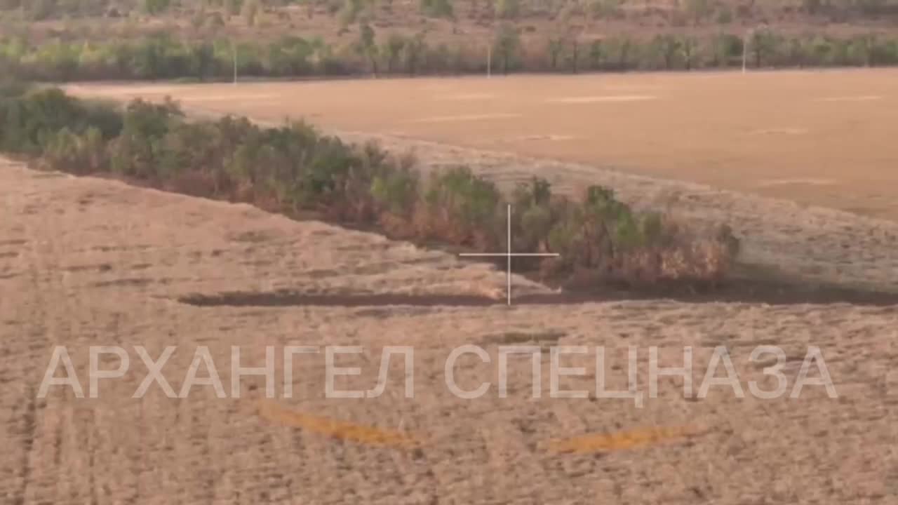 Another group of Ukrainian kamikazes is advancing to counterattack