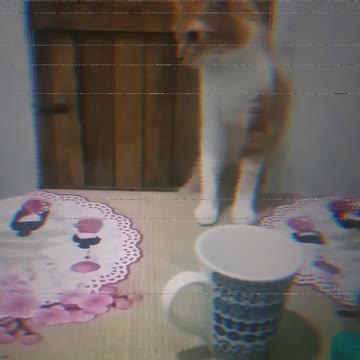 Lelinha on the table