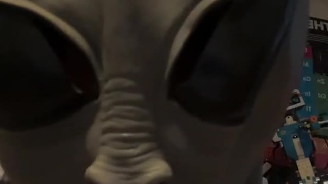 Lieutenant Kodo fun vid