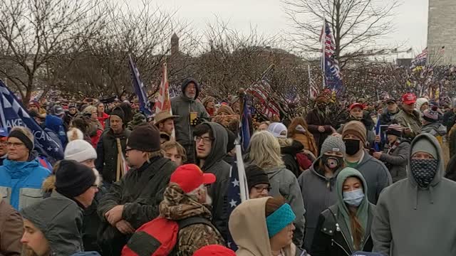 Capital Rally Protest - We the People