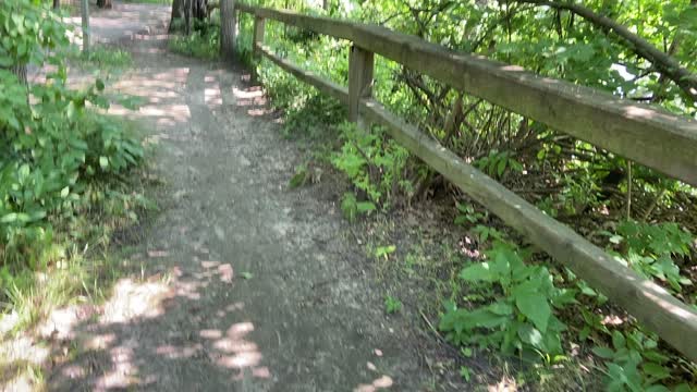 Chipmunk struggles to dislodge nut