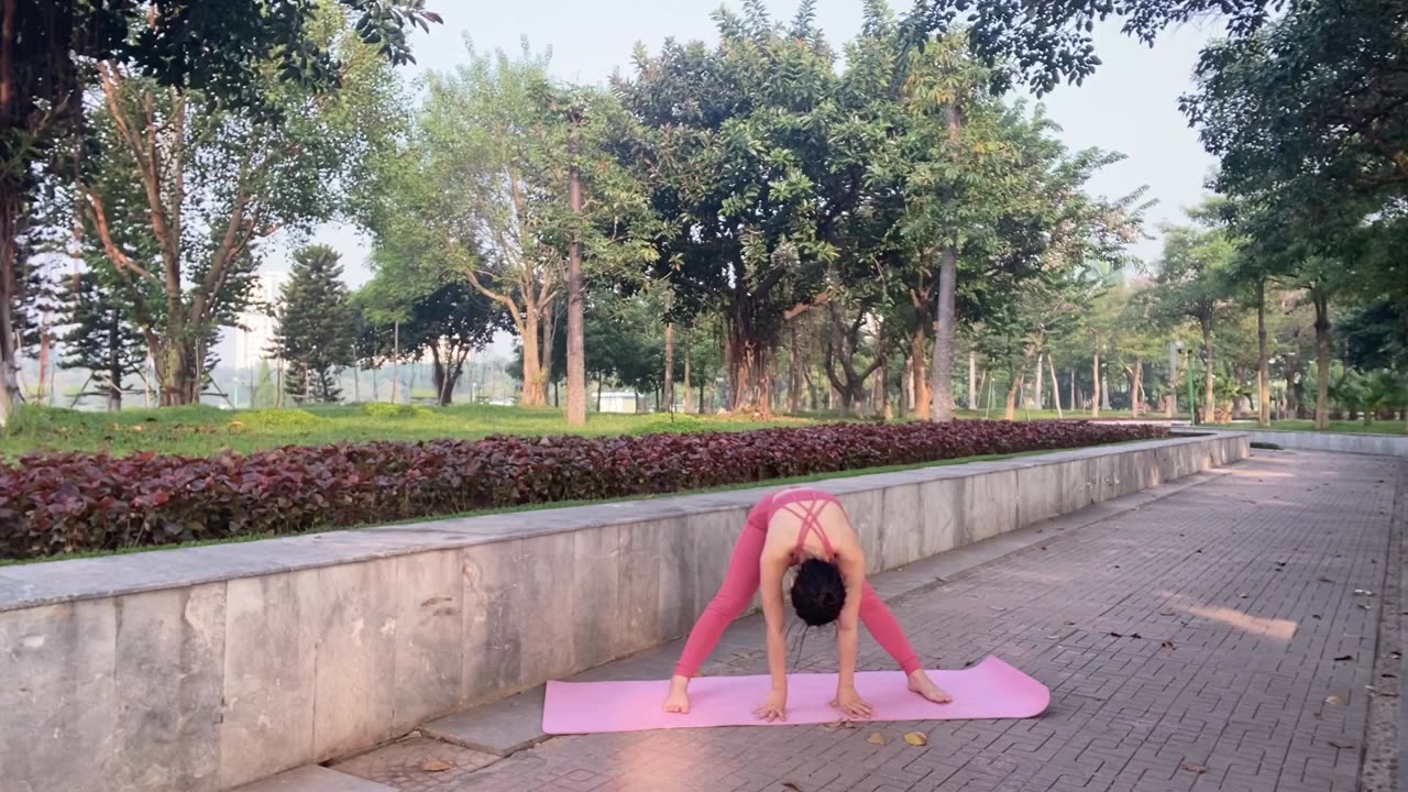 Yoga- Girl in Park