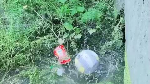 Best funny videos...