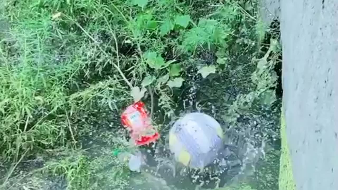 Best funny videos...