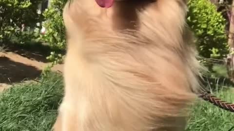 The wind is so big