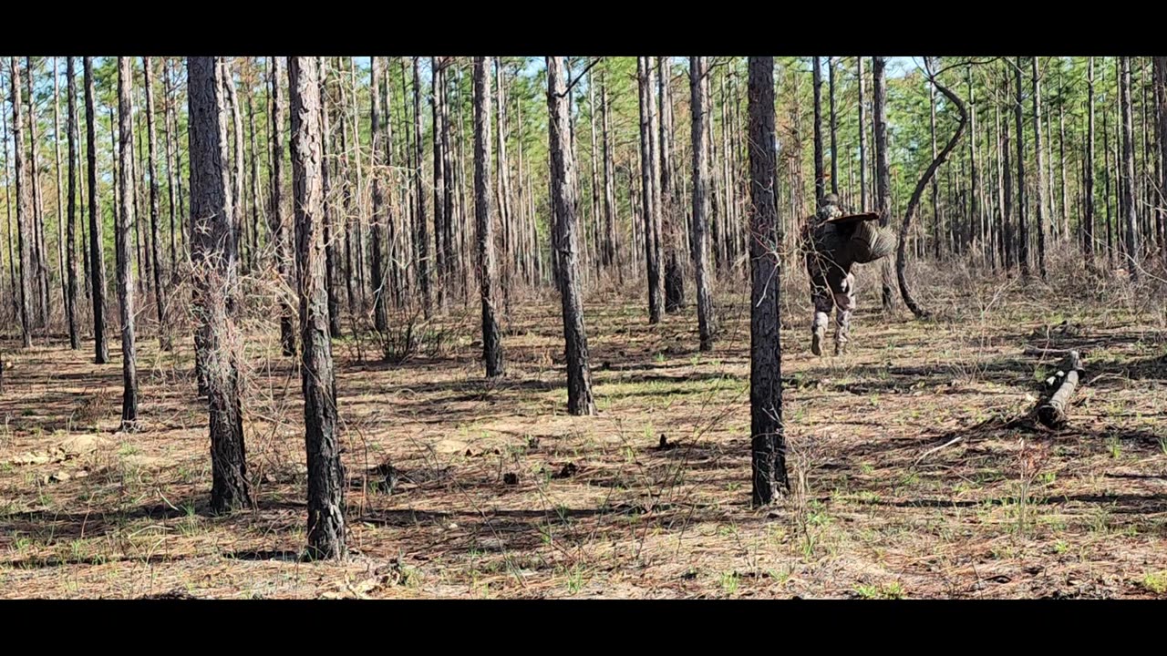 Florida Public Land Turkey Chase