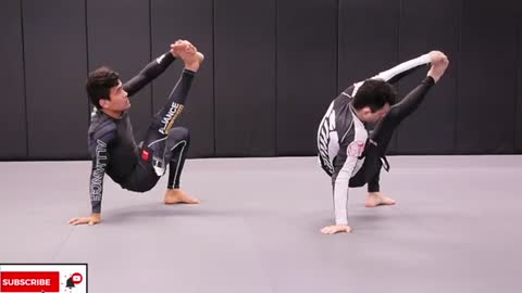 EXERCÍCIOS PARA CONDICIONAMENTO BASE PARA BJJ