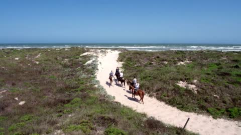 Group Rides Horses Across Sand