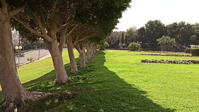 video footage of beautiful park