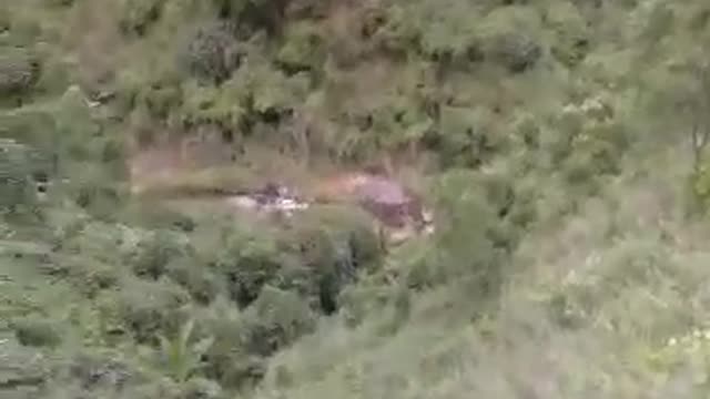 Beautiful mountain and forest scene in Vietnam