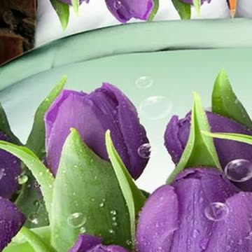 Short Video of Latest Beautiful Bed sheets Part 3