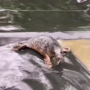 Slip sliding into the weekend like 💦