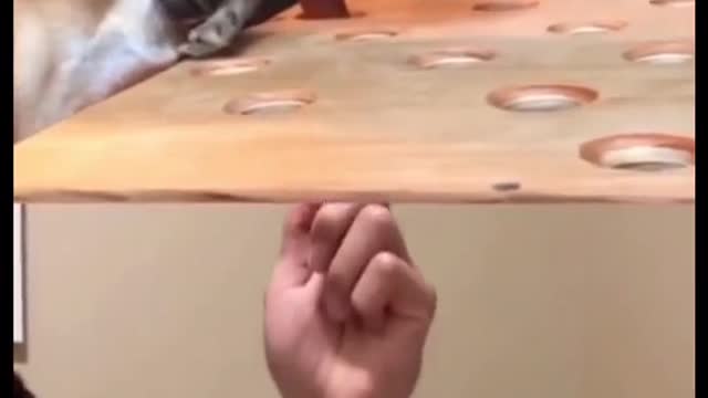 Try catch