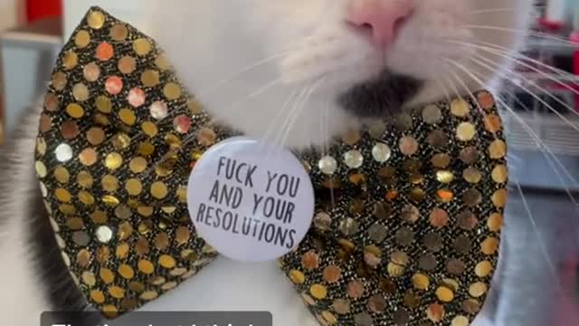 F u and your New Year diet resolution!!