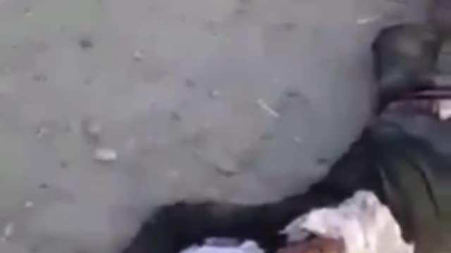 Countless Dead on the Streets After Taliban Carnage