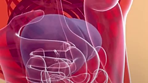 🧬🦴 Exploring Stem Cell Locations In Body 💪🧠