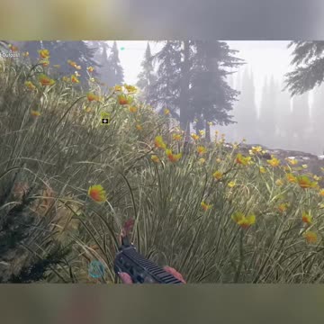 Epic Soundtracks: Far Cry 5 vs. Days Gone