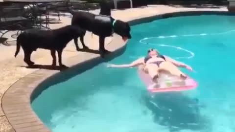 Funny Swimming Video