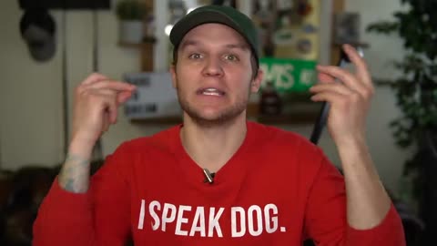 Dog training videos for beginners _ New dog owner training + Where to start dog training!