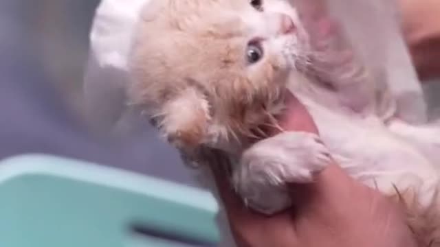so cute!