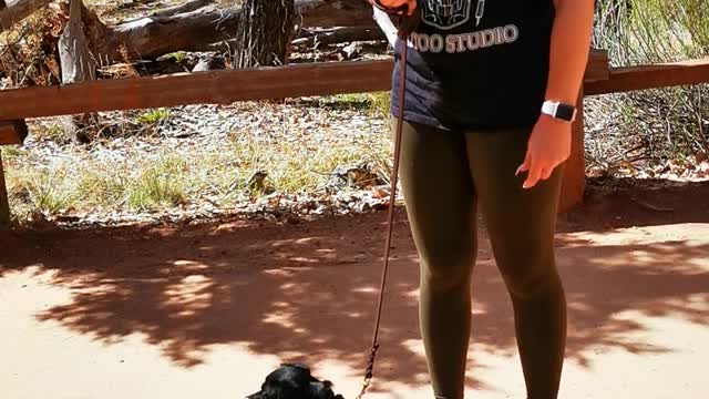 Women Lying About Her Pet Being a "Service Dog" at Zion National Park