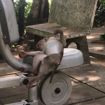 when there is no hot water for a month