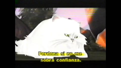 VHS Opening #838 Opening to my 2006 Argentine Spanish VHS of Freedomland