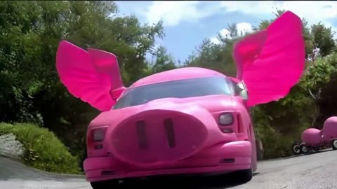 The pinky pig cars