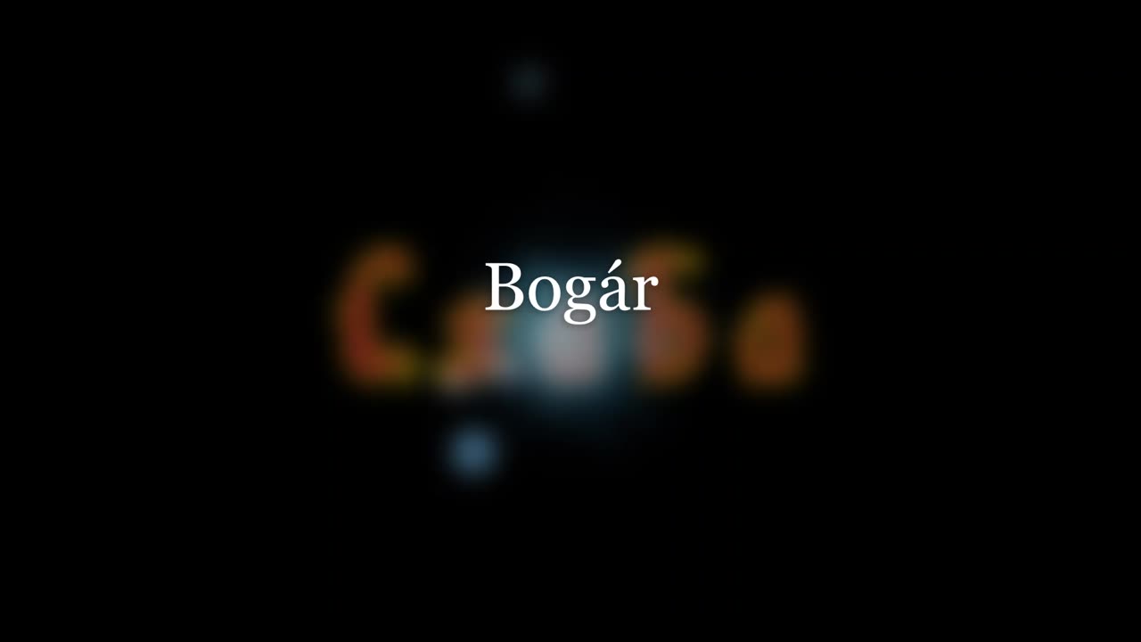 Csaba ¦ Bogár (dalszöveges audió)